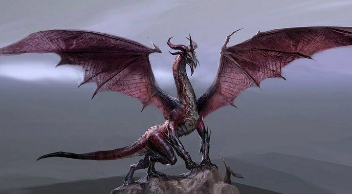 Dragon Age II (Signature Edition)